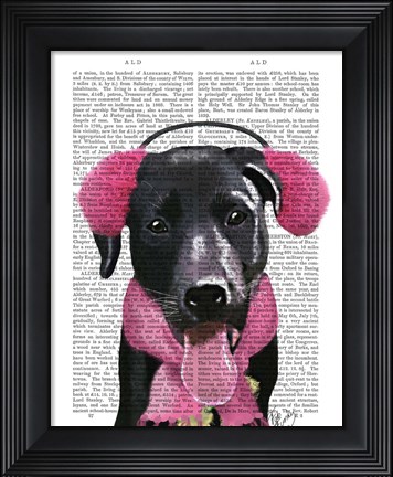 Framed Black Labrador With Ear Muffs Print