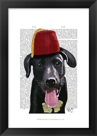Framed Black Labrador With Fez Print