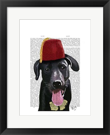 Framed Black Labrador With Fez Print