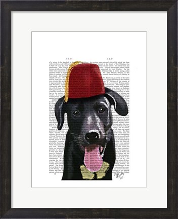 Framed Black Labrador With Fez Print