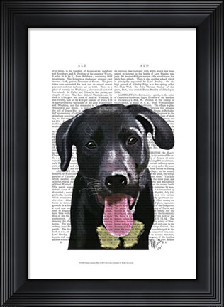 Framed Black Labrador Plain Print