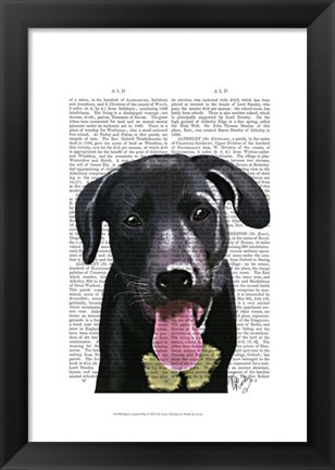 Framed Black Labrador Plain Print