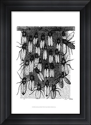 Framed Bee and Honeycomb Print Print