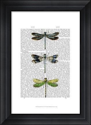 Framed Dragonflies Print 2 Print