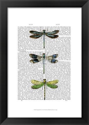 Framed Dragonflies Print 2 Print