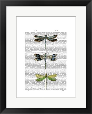 Framed Dragonflies Print 2 Print