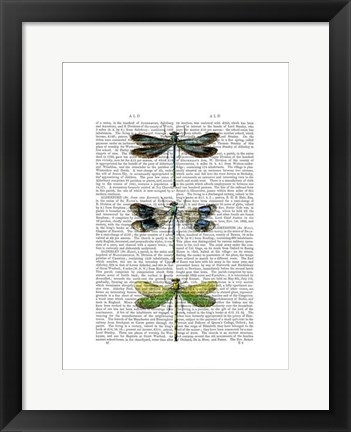 Framed Dragonflies Print 2 Print