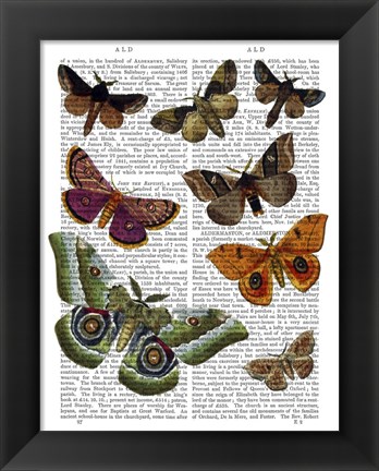 Framed Moth Plate 2 Print