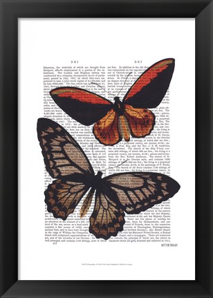 Framed Butterflies 2 Print