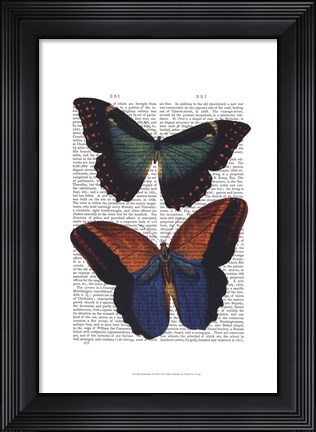 Framed Butterflies 4 Print
