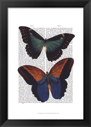 Framed Butterflies 4 Print