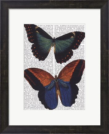 Framed Butterflies 4 Print