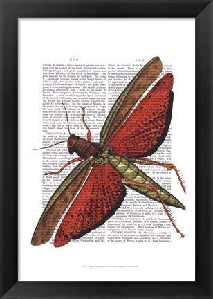 Framed Vintage Grasshopper Print