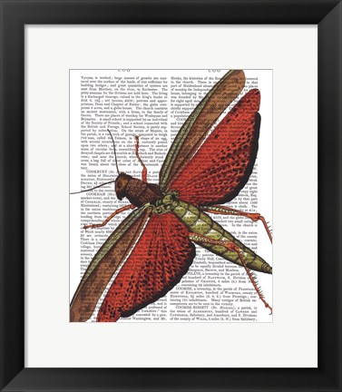 Framed Vintage Grasshopper Print