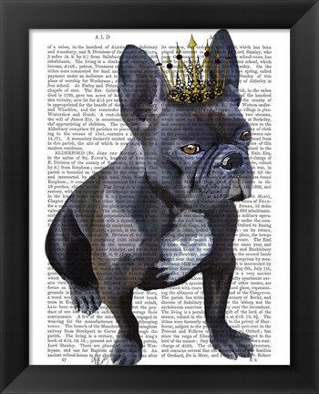 Framed French Bulldog King Print