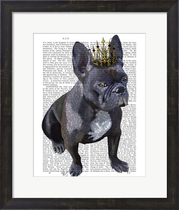 Framed French Bulldog King Print