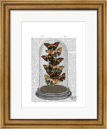 Framed Multicoloured Butterflies in Bell Jar Print