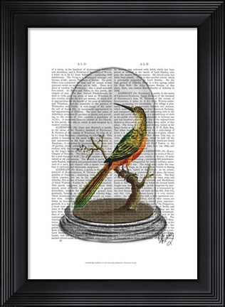 Framed Bird In Bell Jar Print