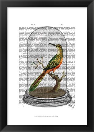 Framed Bird In Bell Jar Print