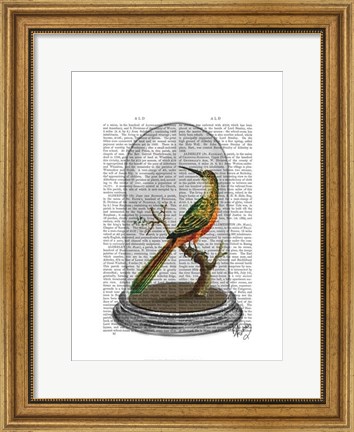 Framed Bird In Bell Jar Print