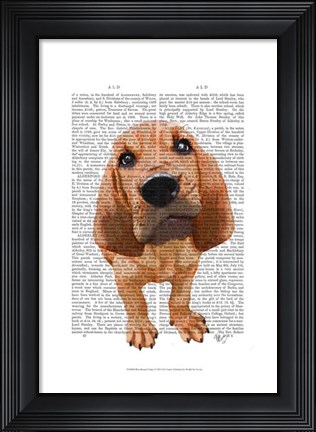 Framed Bloodhound Puppy Print
