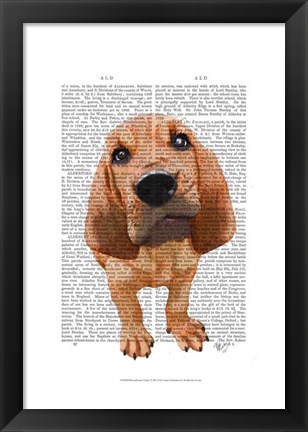 Framed Bloodhound Puppy Print