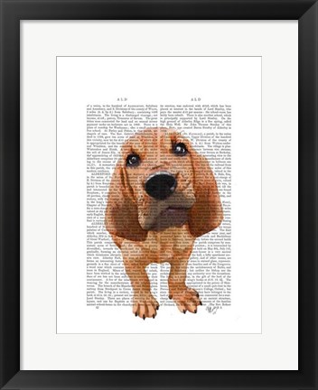 Framed Bloodhound Puppy Print