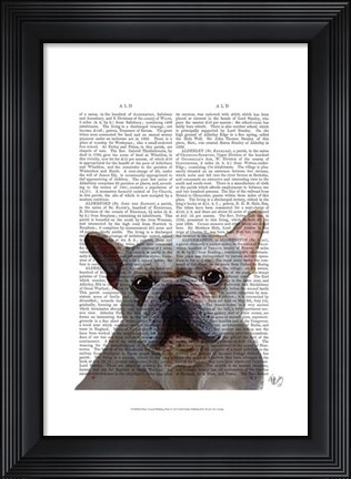 Framed White French Bulldog Plain Print