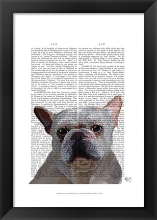 Framed White French Bulldog Plain Print