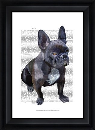 Framed French Bulldog Plain Print