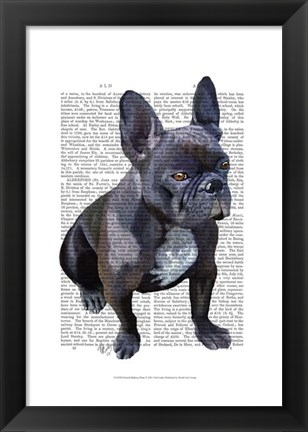 Framed French Bulldog Plain Print