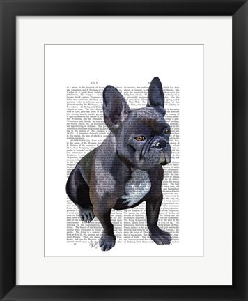 Framed French Bulldog Plain Print