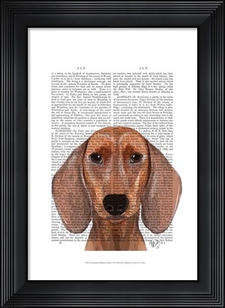Framed Dachshund Illustration Plain Print
