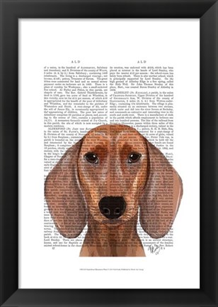 Framed Dachshund Illustration Plain Print