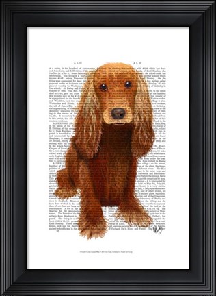 Framed Cocker Spaniel Plain Print