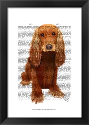 Framed Cocker Spaniel Plain Print