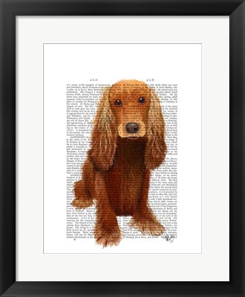 Framed Cocker Spaniel Plain Print