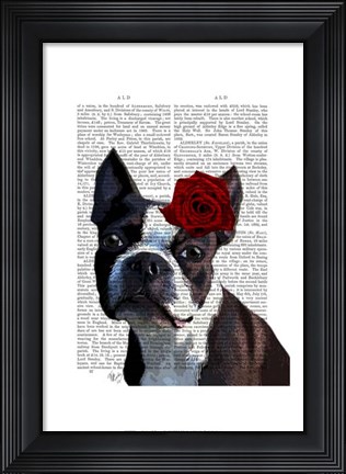 Framed Boston Terrier with Rose on Head Print