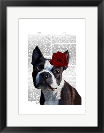 Framed Boston Terrier with Rose on Head Print