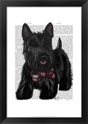 Framed Scottish Terrier and Bow Print