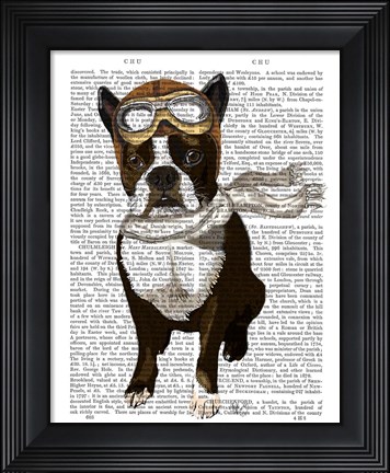 Framed Boston Terrier Flying Ace Print