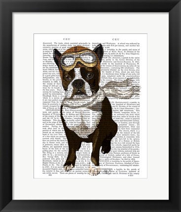 Framed Boston Terrier Flying Ace Print