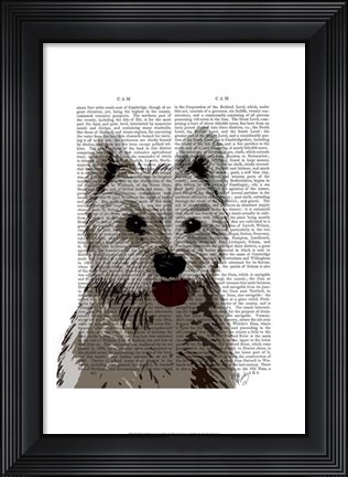 Framed West Highland Terrier Plain Print