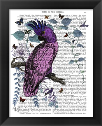 Framed Pink Parrot Print