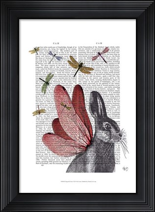 Framed Dragonfly Hare Print