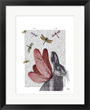 Framed Dragonfly Hare Print