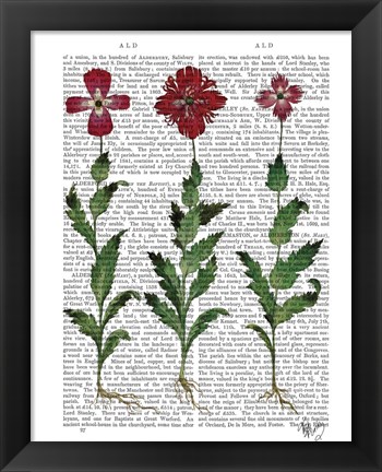 Framed Italian Carnation 1 Print