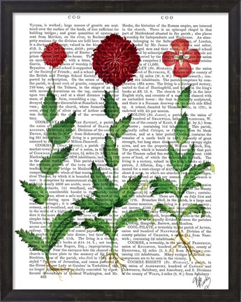 Framed Italian Carnation 2 Print