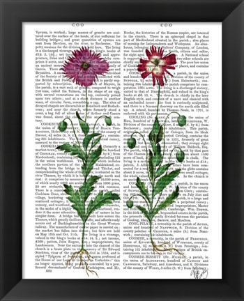 Framed Italian Carnation 3 Print