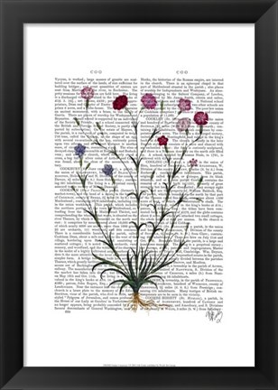 Framed Italian Carnation 5 Print